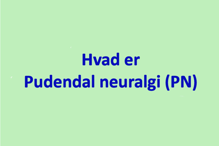 Hvad er PN